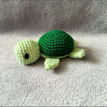 Taylor the Terrapin Toy